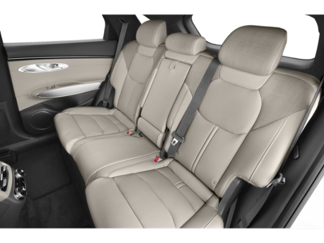 Used 2025 Silver Genesis Advanced image 10