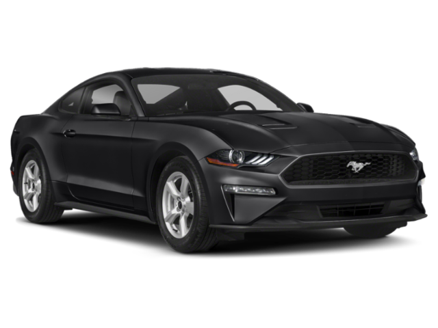 Used 2021 Oxford White Ford EcoBoost image 6