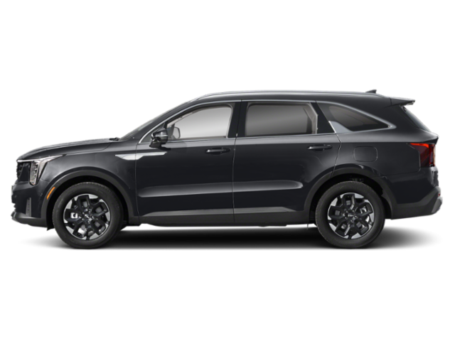 New 2026 Panthera Metal Kia S image 3