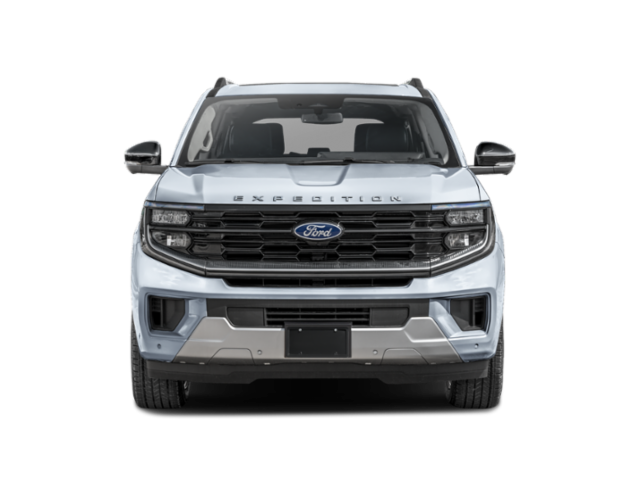 New 2027 Gray Ford Platinum image 4