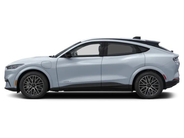New 2026 Gray Ford Premium image 3