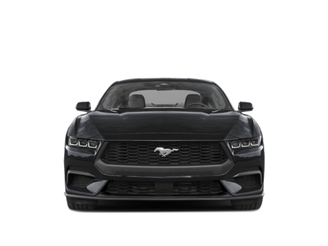 New 2026 Avalanche Gray Ford EcoBoost® Fastback image 4