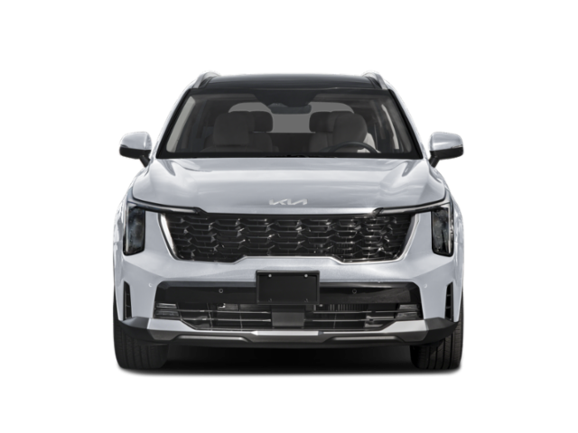 New 2026  Kia EX image 4