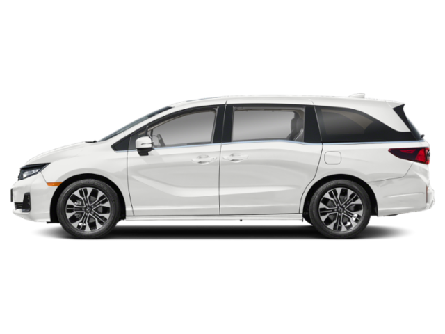 New 2026 Platinum White Pearl Honda Elite image 3