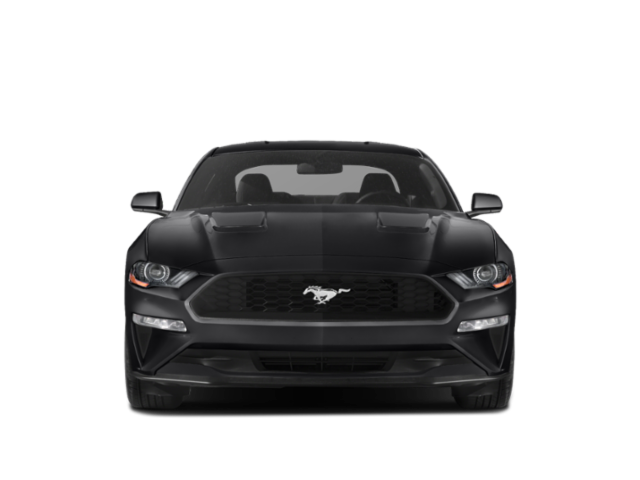 Used 2021 Oxford White Ford EcoBoost image 4