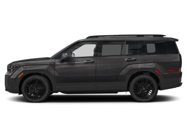 New 2027 Phantom Black Hyundai Calligraphy image 3
