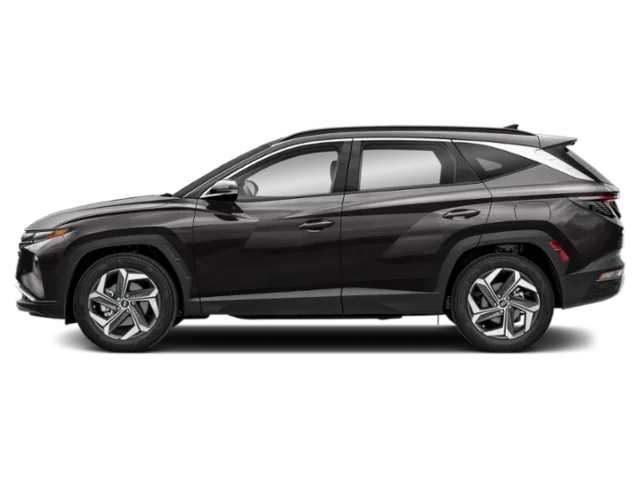 Used 2024 Gray Hyundai Limited image 3