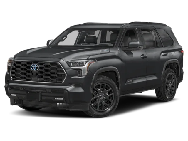 New 2026 Magnetic Gray Metallic Toyota Platinum image 1