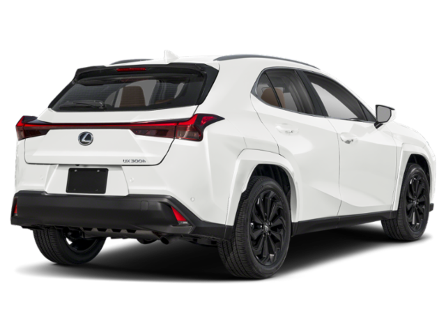 2025 Lexus UX Premium photo 2
