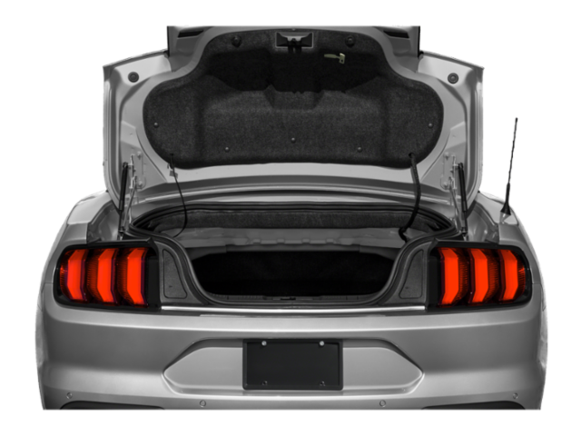 Used 2019 Red Ford EcoBoost Premium image 9