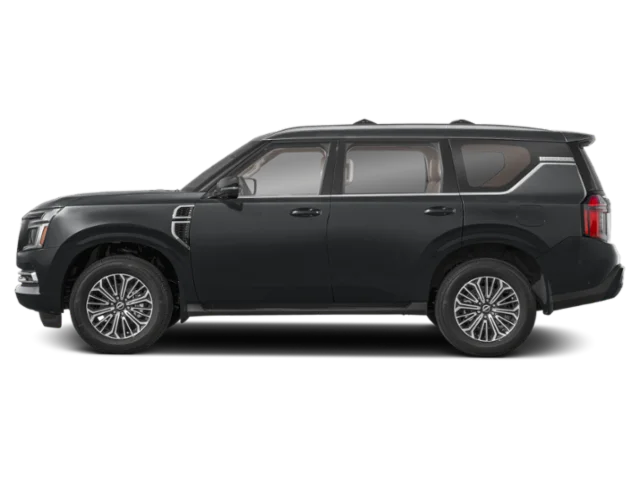 New 2026 Super Black Nissan Platinum image 3