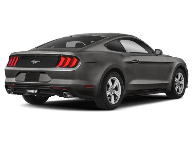 Used 2019 Gray Ford EcoBoost Premium image 3