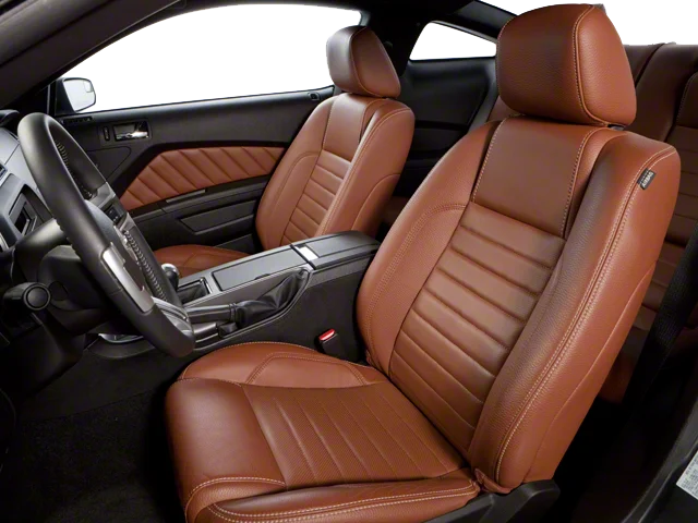 Used 2010  Ford GT Premium image 15