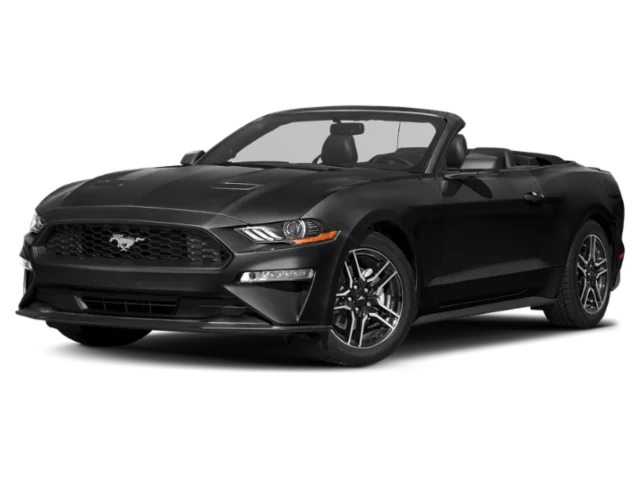 Used 2019 Black Ford EcoBoost Premium image 1