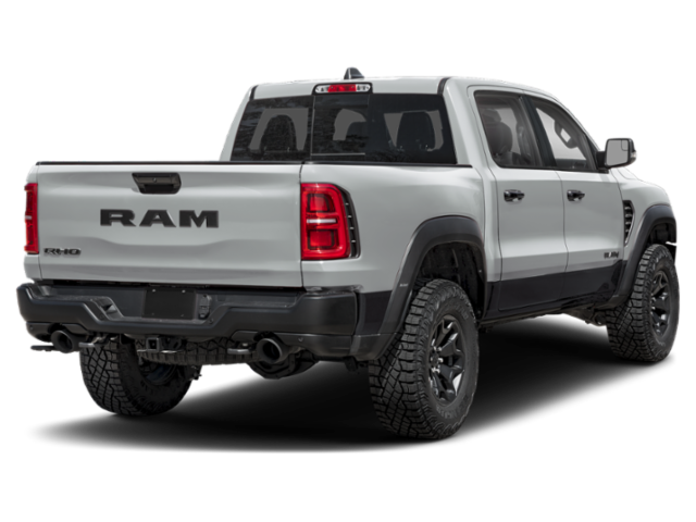 New 2026 Silver Zynith Exterior Paint RAM RHO image 14
