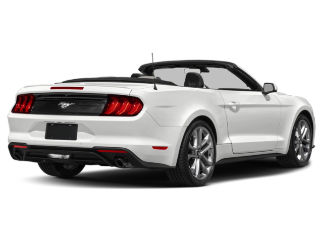 Used 2022 Oxford White Ford EcoBoost Premium image 8