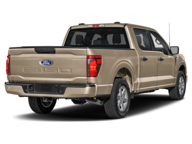 New 2027 Birch Sand Ford XLT image 3