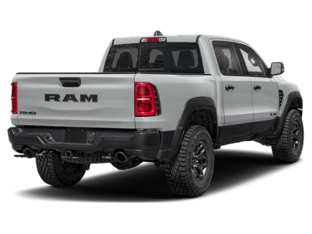 New 2026 Silver Zynith Exterior Paint RAM RHO image 2