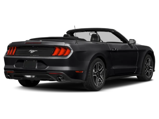 Used 2019 Black Ford EcoBoost Premium image 2