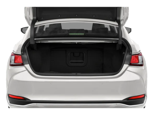 Used 2021 Caviar Lexus Base image 8