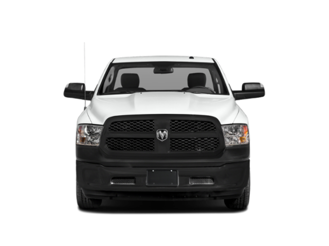 Used 2019 Blue Ram Tradesman image 10