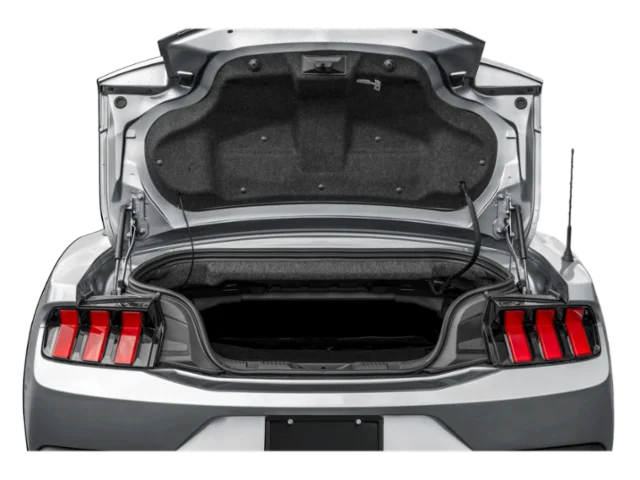2025 Ford Mustang EcoBoost Premium Convertible - Photo 8