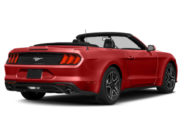 Used 2019 Red Ford EcoBoost Premium image 3