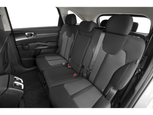 Certified Used 2025 Panthera Metal Kia LX image 10