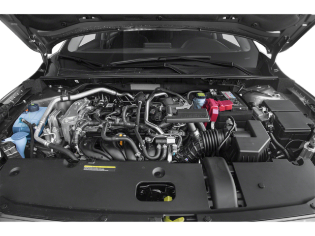 Used 2020 Fresh Powder Nissan S image 12