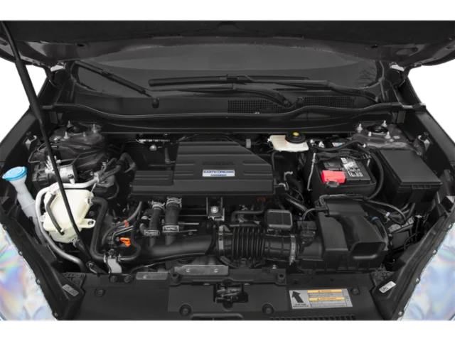 Used 2019  Honda LX image 12