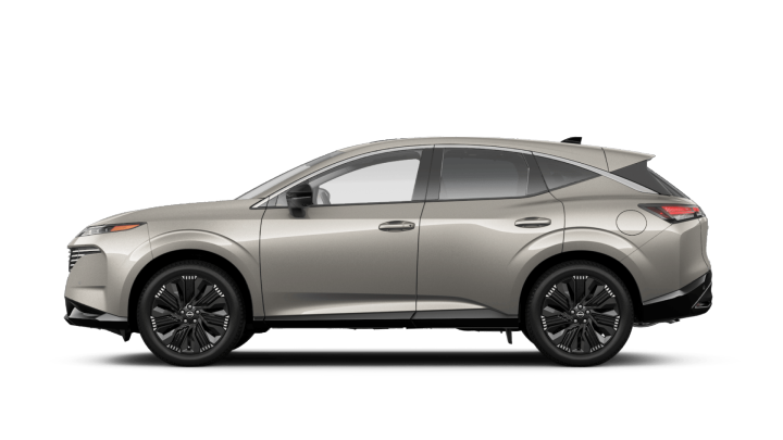 New 2027 Champagne Silver Metallic Nissan Platinum image 1